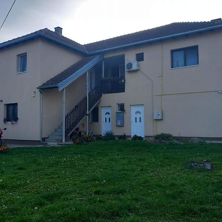 Rm Castell Apartments Novi Sad Extérieur photo
